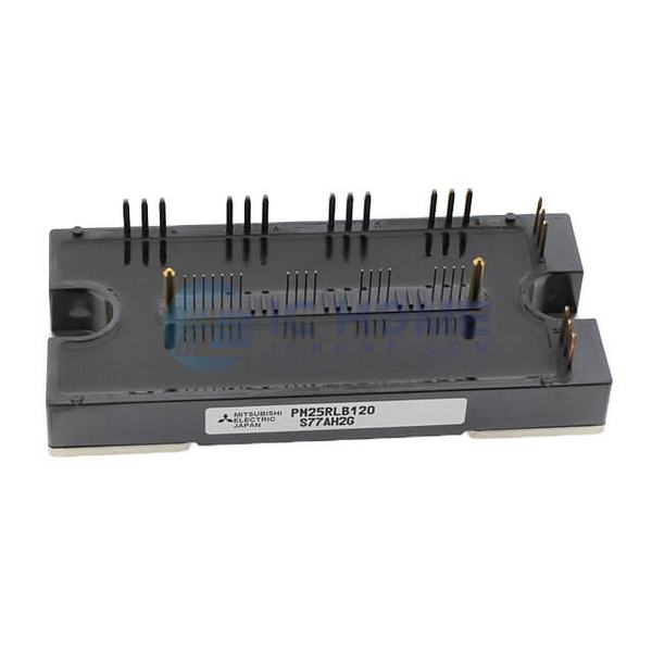 PM25RLB120